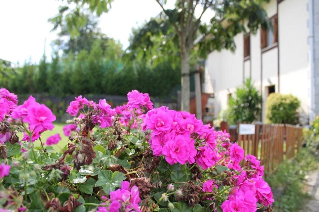Casa Rural Zelaieta Berribi Itziar Kültér fotó